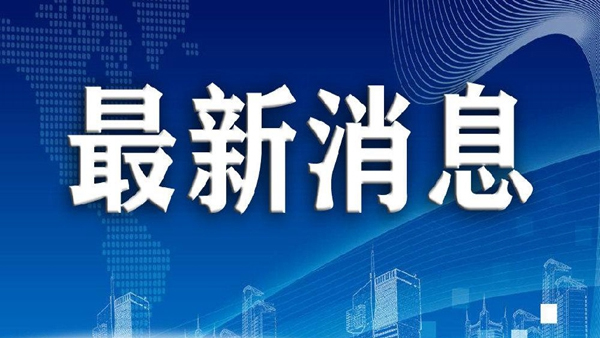 书法培训班